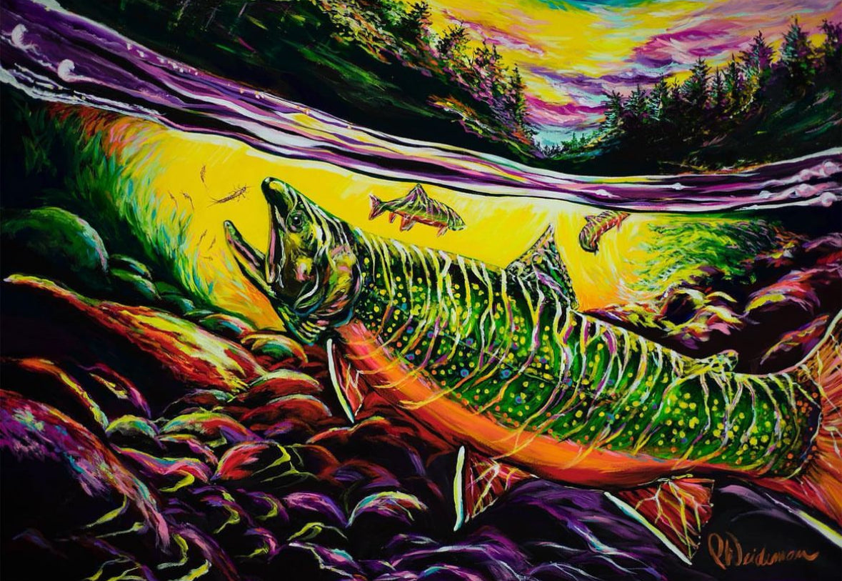 South Branch Brookie