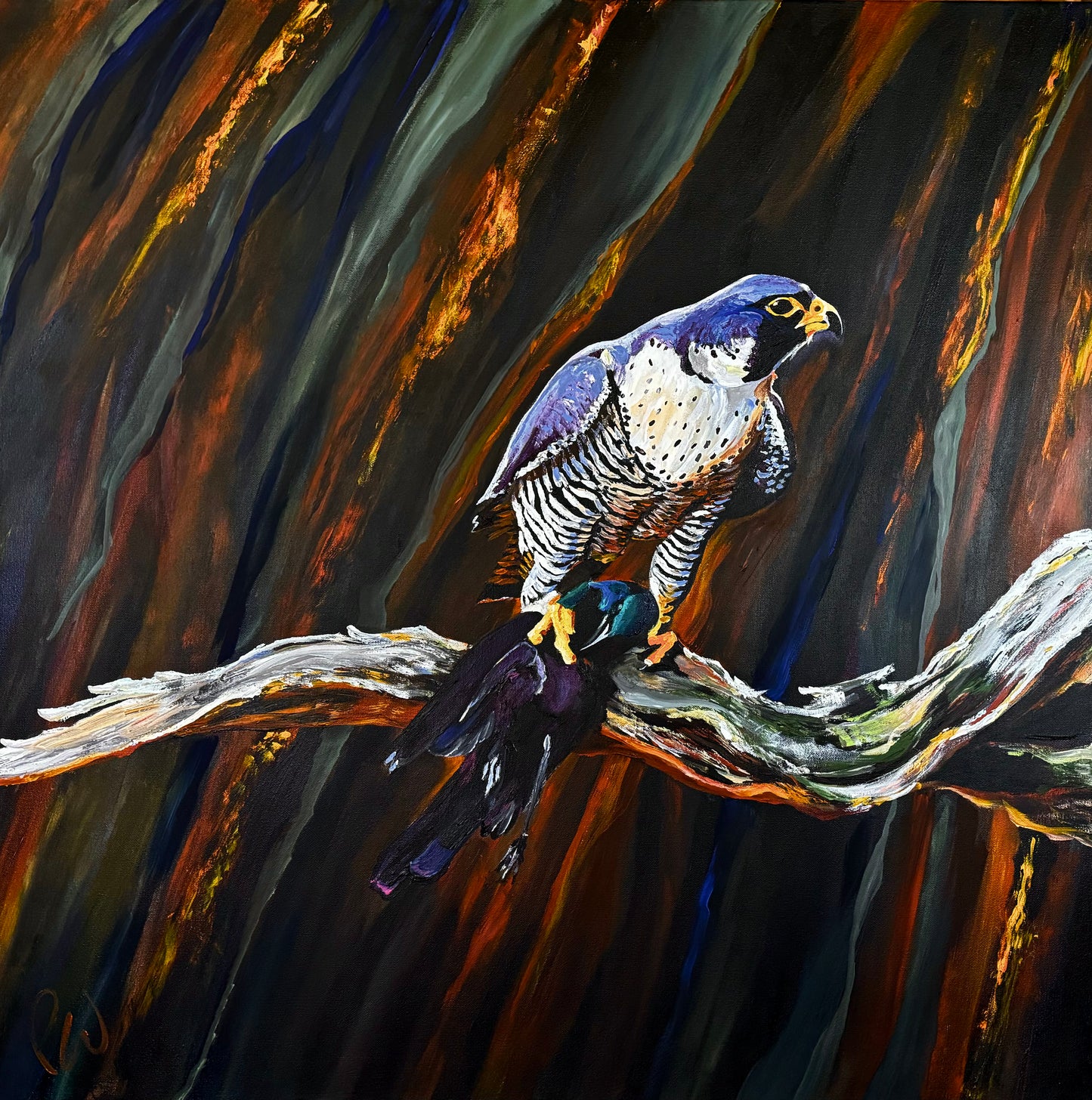 Peregrine Falcon Cliff