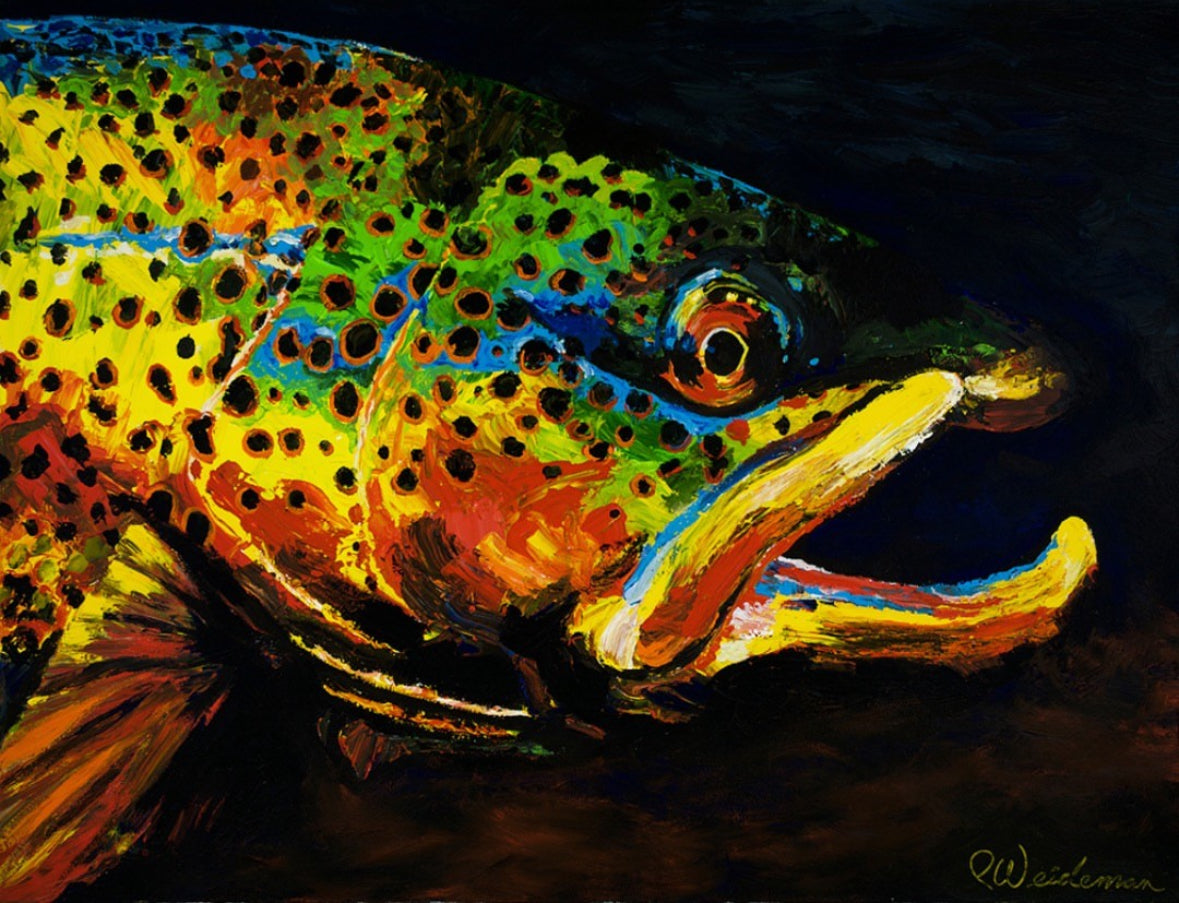 Brown Trout Portrait