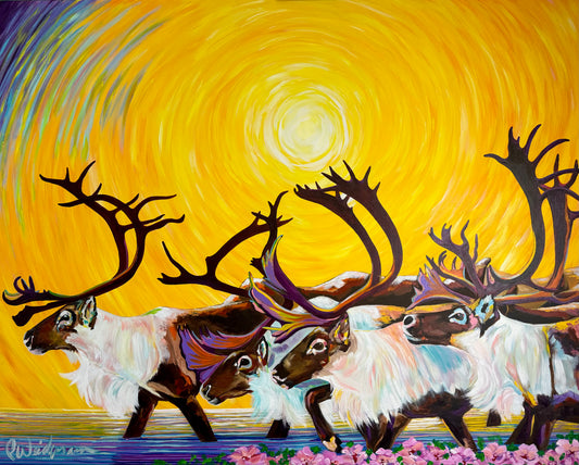 Caribou in The Midnight Sun