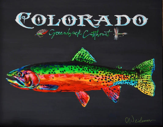 Colorado Cutthroat